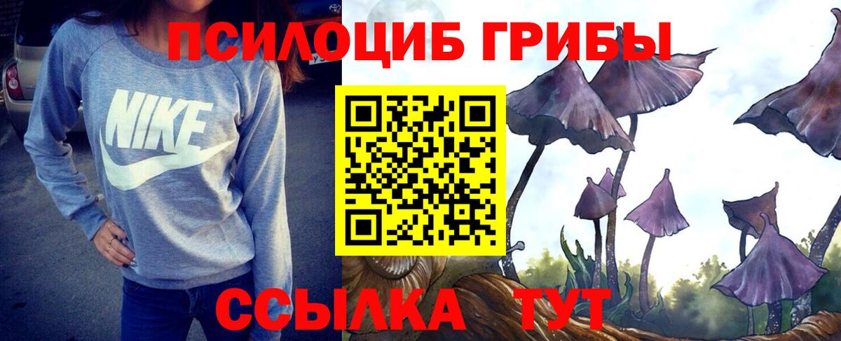 Черняховск  Псилоцибиновые грибы Psilocybine cubensis  Вход с VPN 